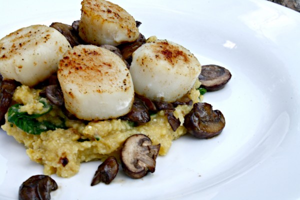 Scallops with spinach polenta