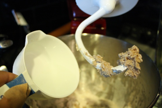 Kitchen Aid Mixer with Tortilla Dough