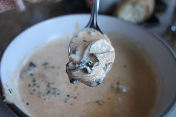 Creamy Oyster Stew