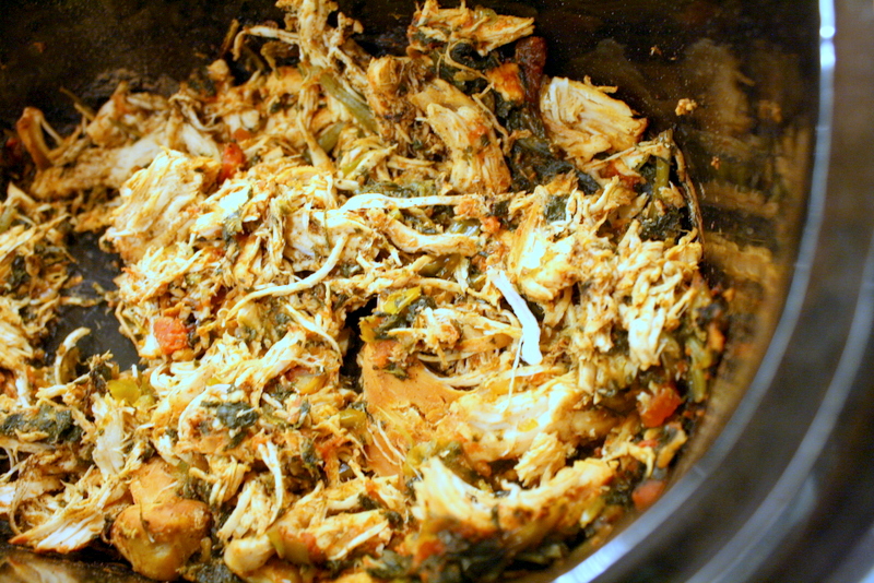 Chicken and Kale in a Crockpot with Salsa