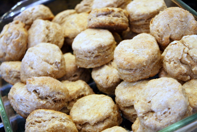 Whole Wheat Biscuits