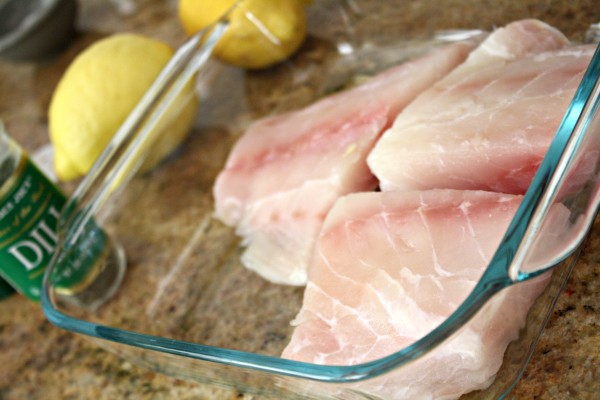 Grouper Fillets