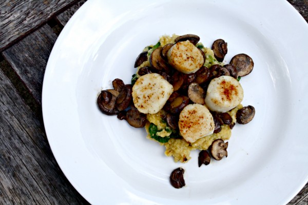 Scallops, mushrooms and polenta