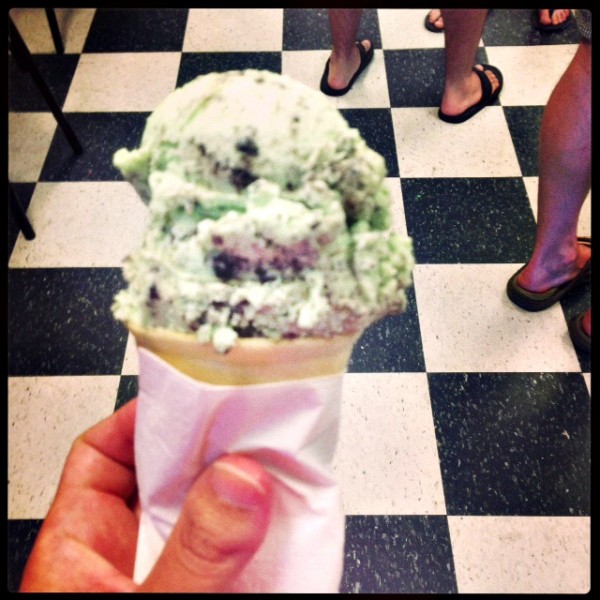 Mint Chocolate Chip Ice Cream